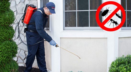 Büyükçekmece Gümüşkurt İlaçlama böcek ilaçlama ve haşere kontrolü — ilaclama-tr.com